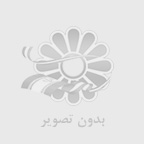 کاربرد دستگاه سالاماندر برقی و گازی